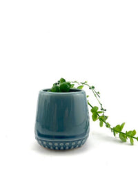 Whale Planter Navy Mini 9cm