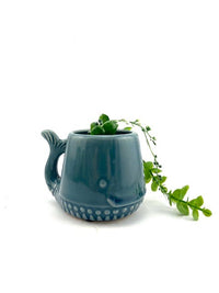 Whale Planter Navy Mini 9cm