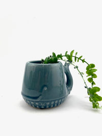 Whale Planter Navy Mini 9cm